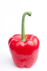 red pepper on white background
