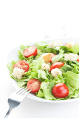 Salad with tomatoes