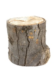 Log