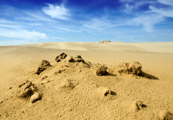 desert landscape