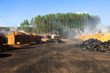 Fornos para a produção de carvão vegetal no Carajás