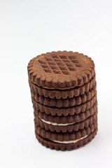 cocoa biscuits