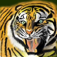 tiger