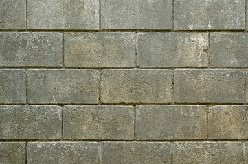 Obraz premium brick wall