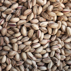 nutshell pistacchios closeup, natural background