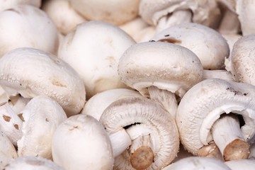 mushrooms