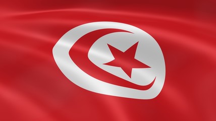 Tunisian Flag
