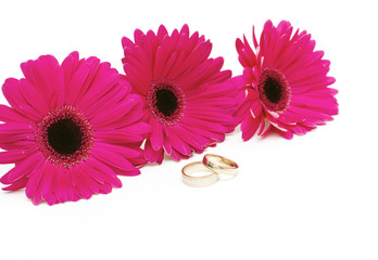 three gerbera and weddding rings