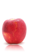 isolated apple with water drops with reflection