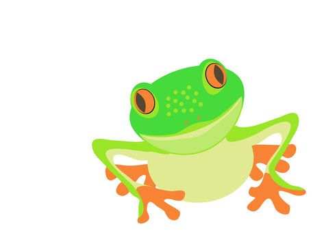 a funny vector red-eyed wood frog