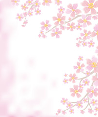 Spring background with flowering branches