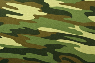 camouflage background © ievavincer2