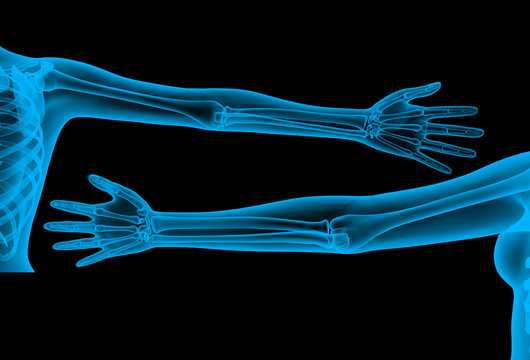 skeleton arm x-ray render