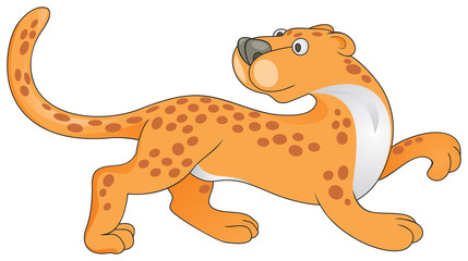 Leopard in vector