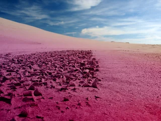 Foto op Plexiglas woestijnlandschap © Željko Radojko