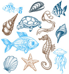 Naklejka premium Marine life drawing