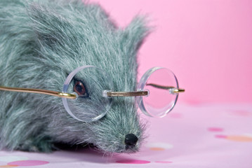 spectacles on rat