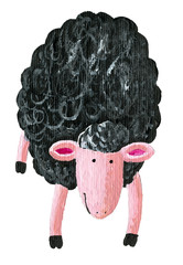 Black sheep