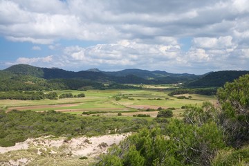 Fototapeta na wymiar green country at Menorca