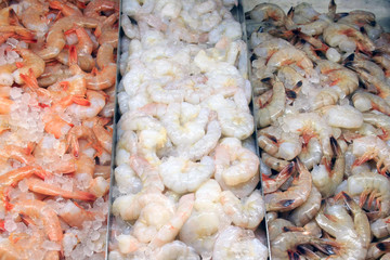 Variety of Shrimp