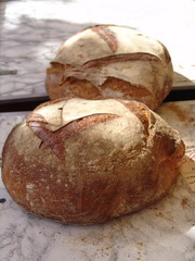 pane casareccio