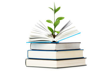 Knowledge concept - Leaves growing out of book