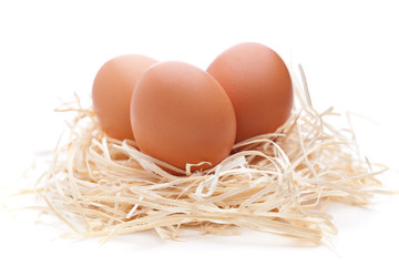 Eier im Nest auf weißem Hintergrund