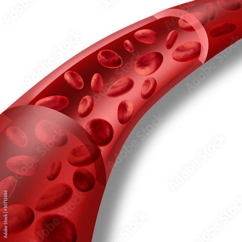 red-blood-cells-flowing-through-a-vein-and-artery-stock-photo-and