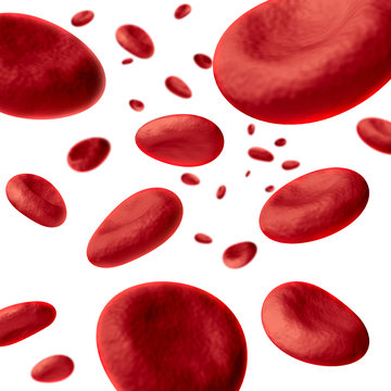 Red blood cells isolated
