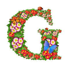 alphabet of primrose with butterfly and ladybug