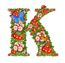 alphabet of primrose with butterfly and ladybug