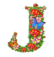 alphabet of primrose with butterfly and ladybug
