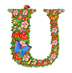 alphabet of primrose with butterfly and ladybug