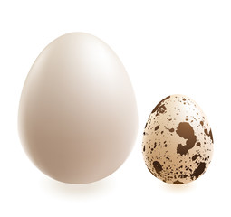 chiken and quail eggs