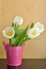 Tulips in a Bucket