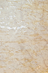 Leather texture made from cow skin,for make shoes,bag,belt