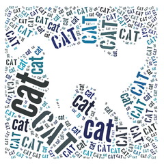Obraz premium Cat of words