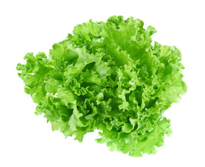 Fresh green lettuce leafs isolated on white background