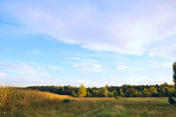 rural landscape