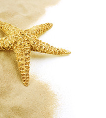 Starfish on the Sand