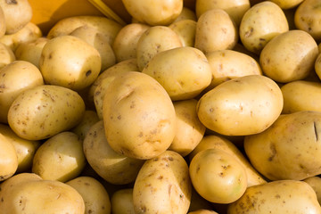 Frisches Kartoffel