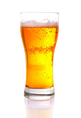 glass of beer isolated