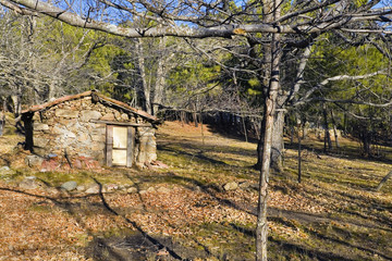 Casa entre los casta&ntilde;os