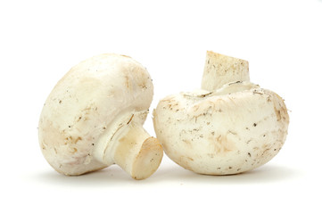 Champignons Isolated on White Background