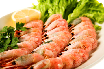Shrimp