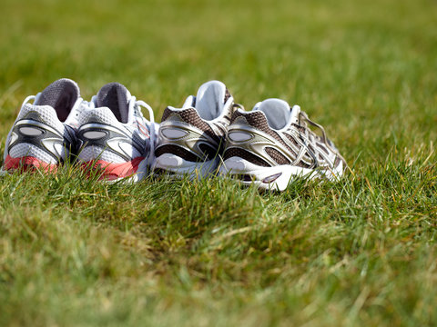 Two matched pairs of runners in the meadow