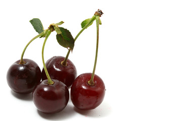 sweet cherry
