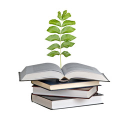 sapling growing from open book