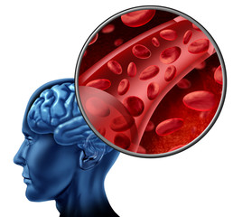 Blood cells in the brain flowing through veins