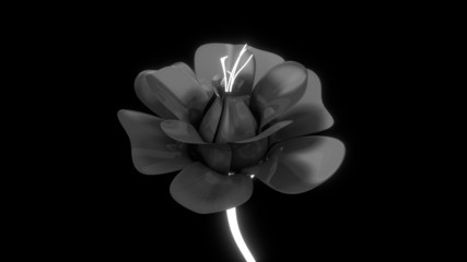 Black Flower Isolated with White Stem
